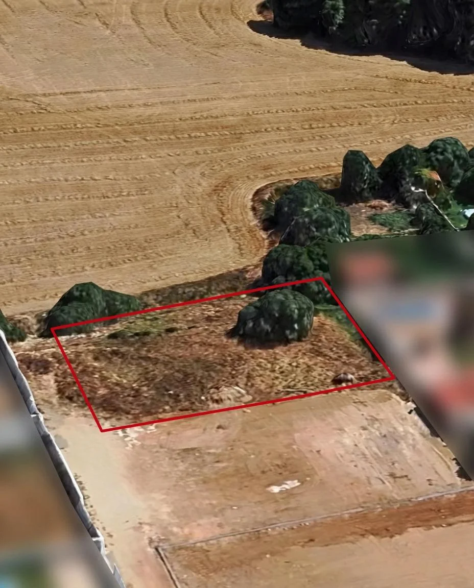 Rural plot in El Sotillo, 1000 m²