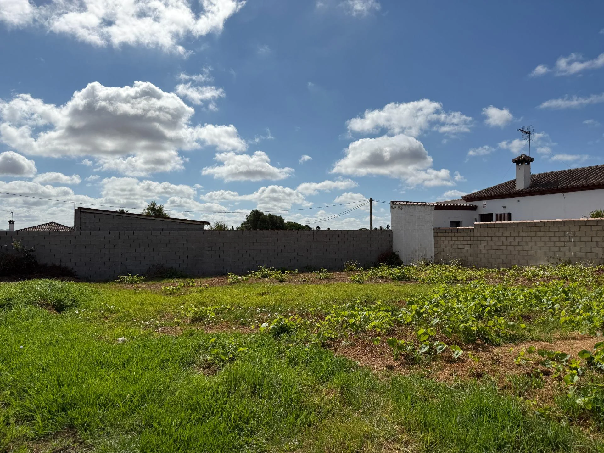 Parcela rústica en Pelagatos, 500 m²