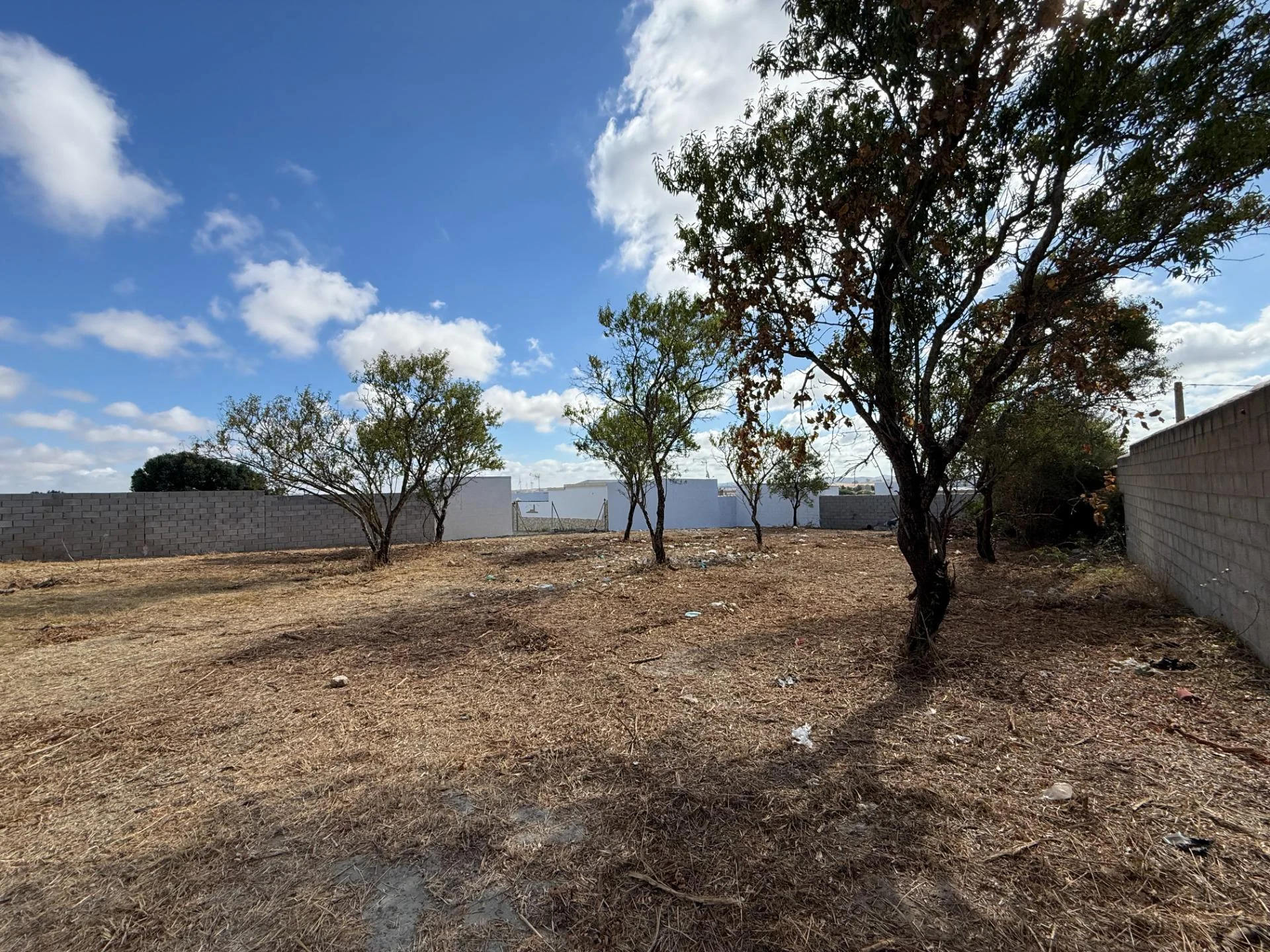 Rustic Chiclana plot with 654 m²