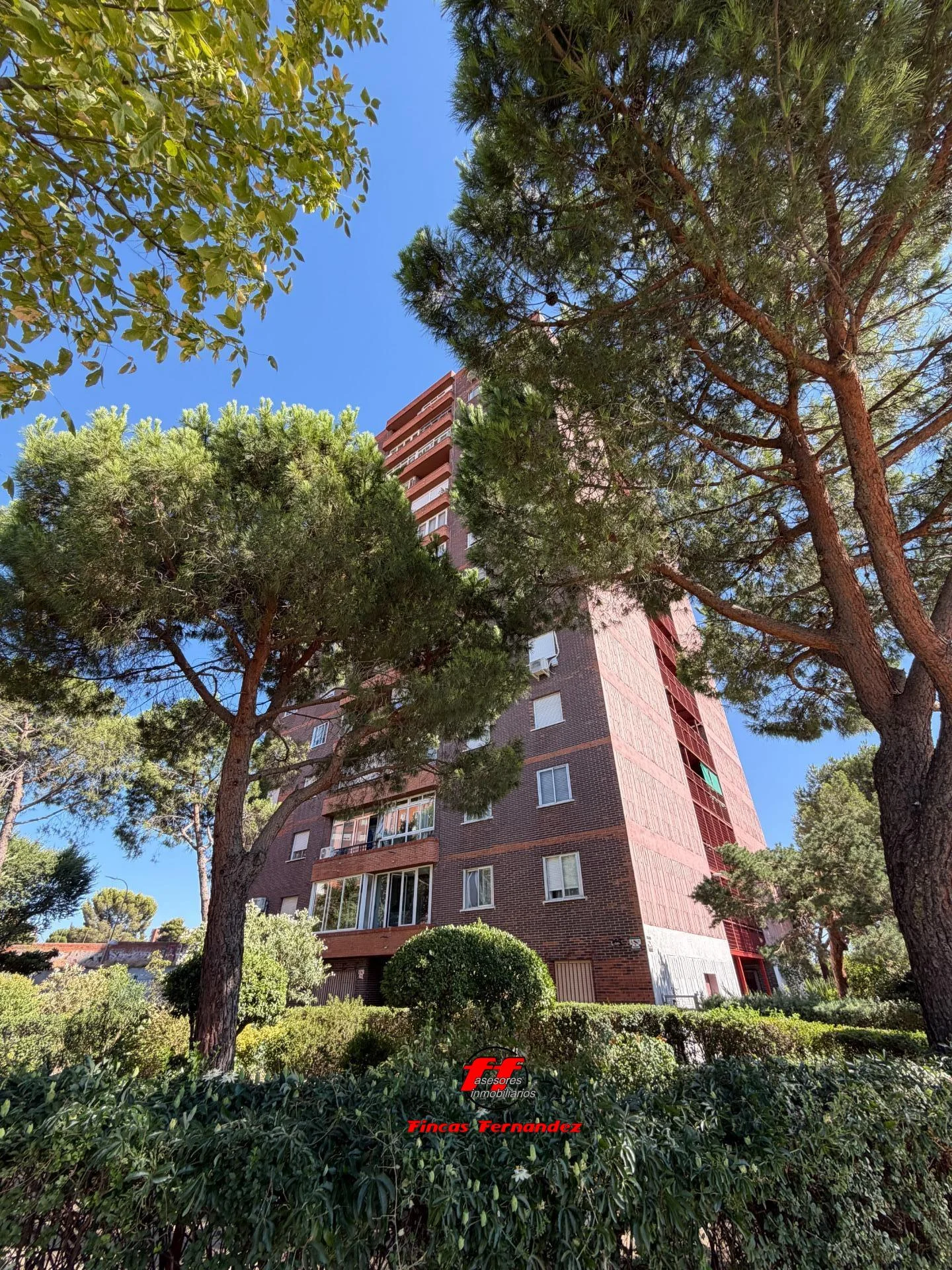 Bright Buenos Aires flat, 3 bedrooms
