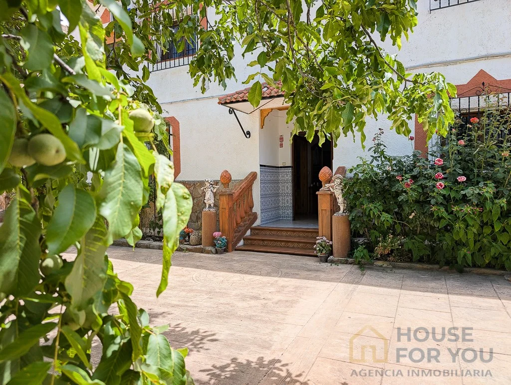 Finca reformada en Castril con olivar
