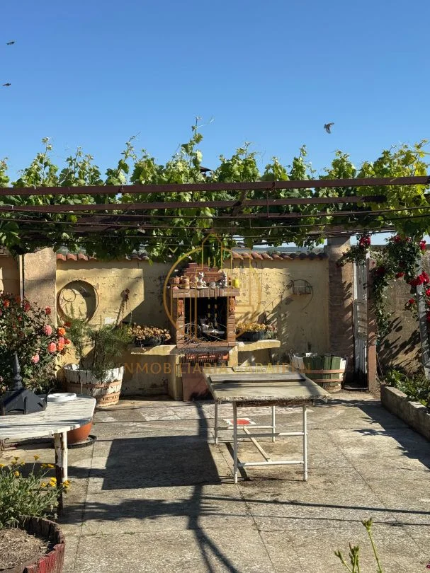 Rural vineyard plot with agricultural shed