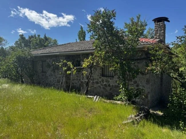 Spacious four-bedroom house on rustic plot