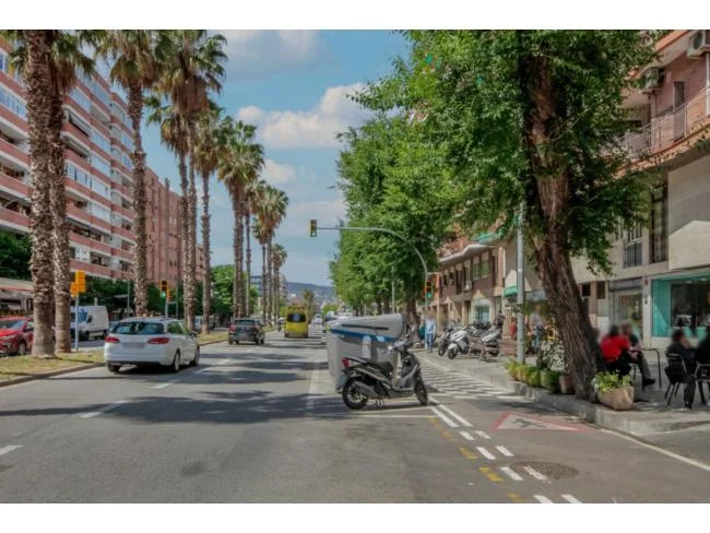 Occupied Barcelona flat, 4-bedroom investment