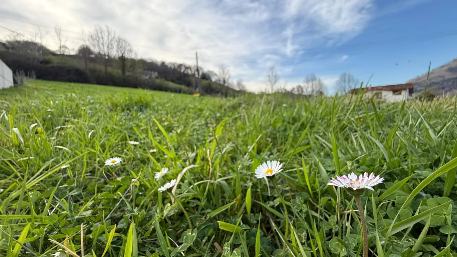Urban plot in Arribe, 1,699 m²