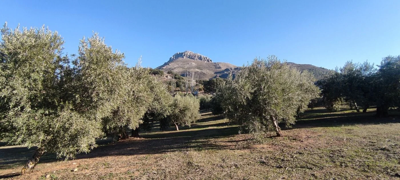 Rural plot in Paraje la Presilla