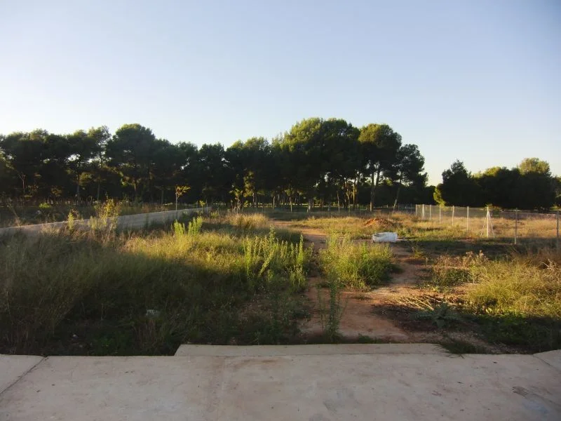Gran parcela en Torre en Conill