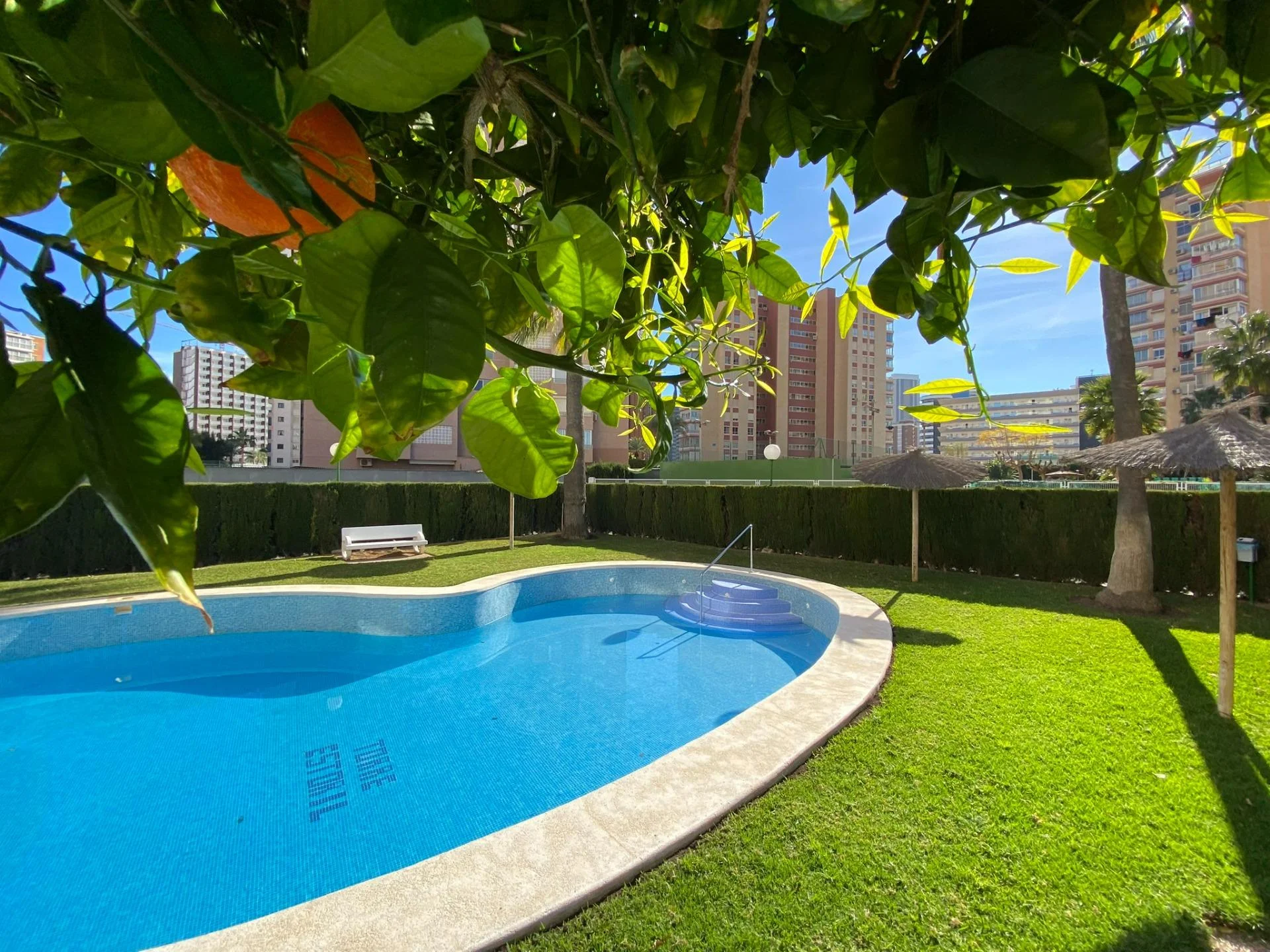 Apartamento reformado en Benidorm, 1 dormitorio