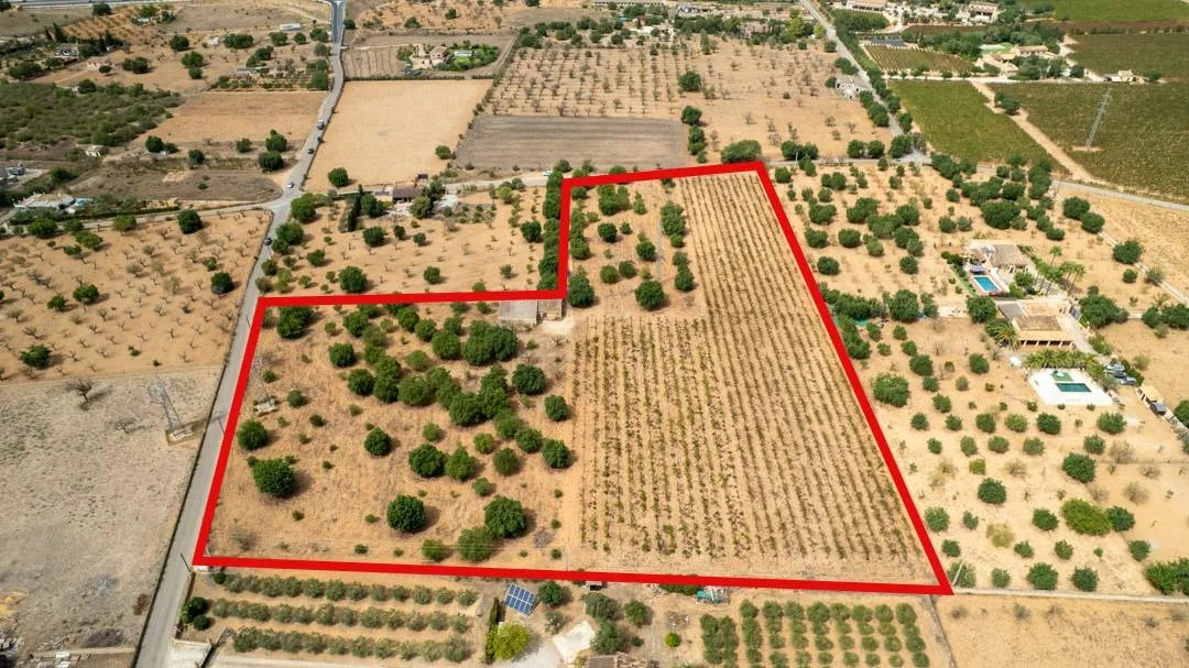 Rural vineyard plot with building potential