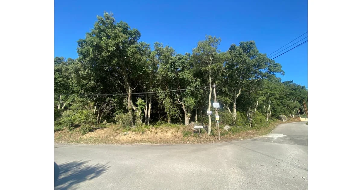 Buildable residential plot in Maçanet