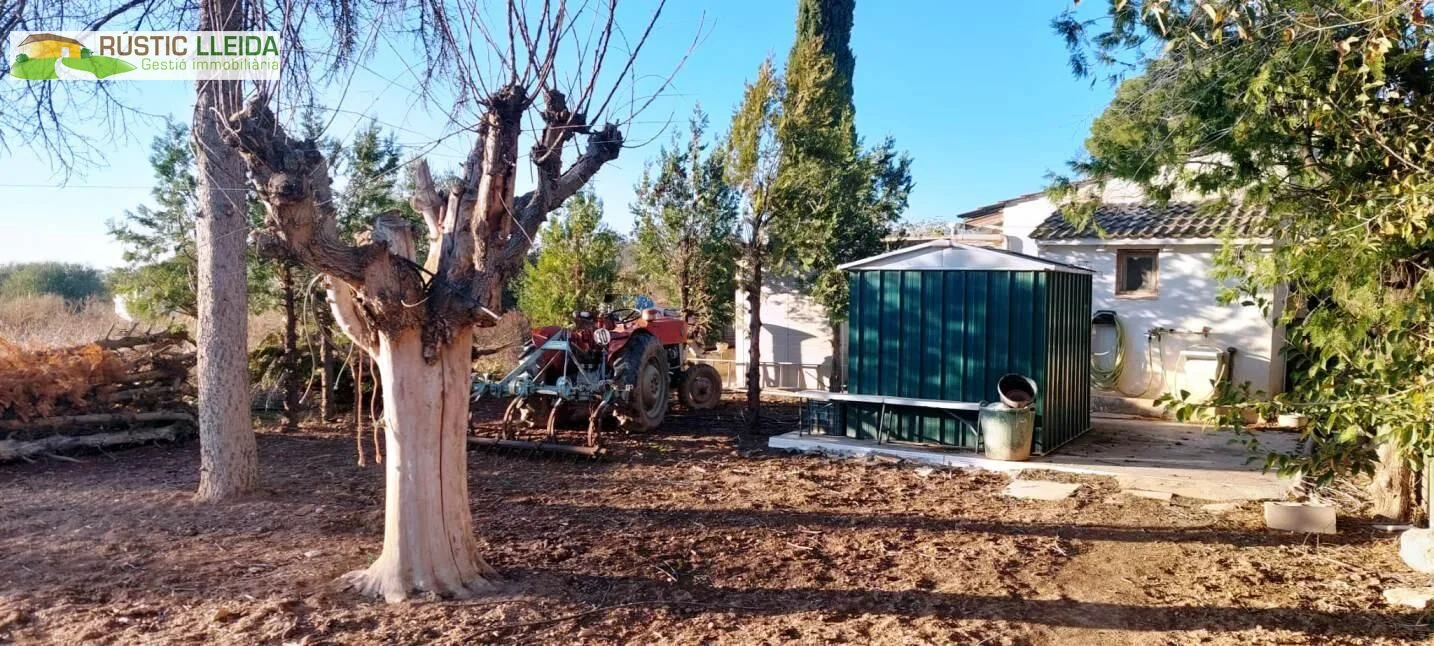 Finca rústica de regadío con casita agrícola