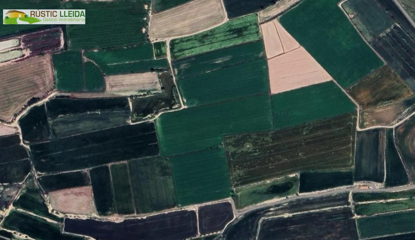 Finca de regadío de 20 hectáreas cerca de Vila-Sana
