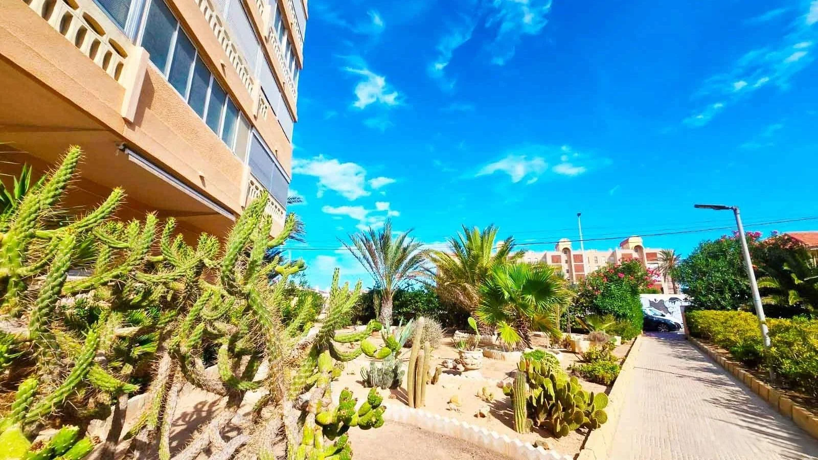 Apartamento en La Mata con vistas al mar