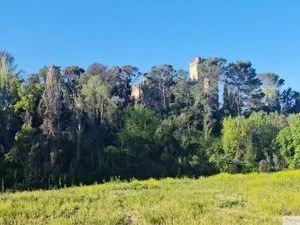 Parcela urbana en Batres junto al castillo