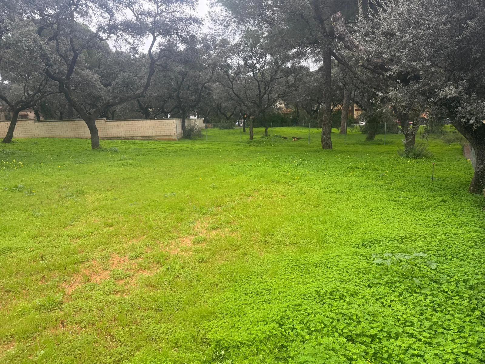 Parcela urbana con potencial de 450 m²