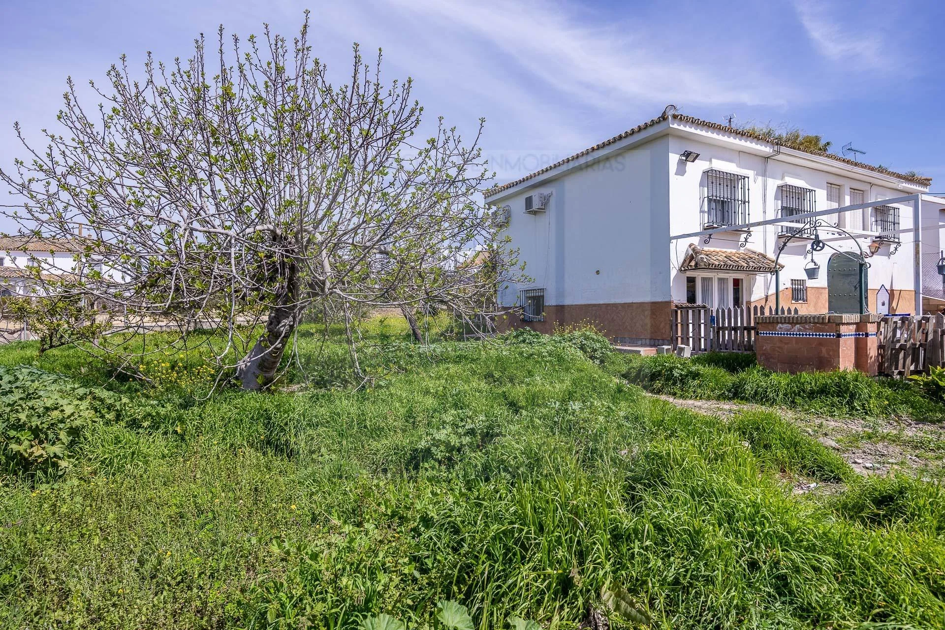 Urban Salteras plot, 573 m²