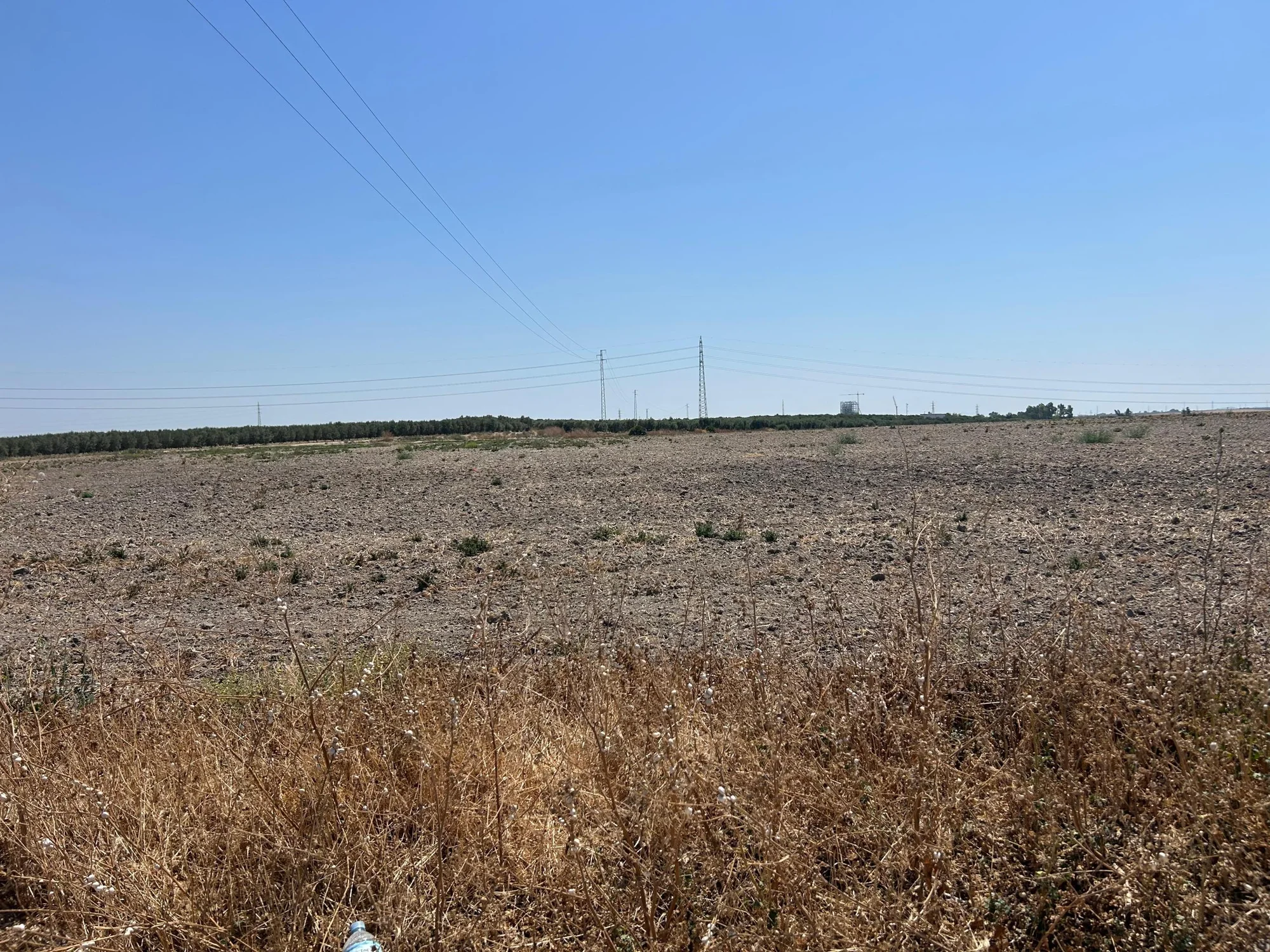 Terreno de regadío cerca de Utrera