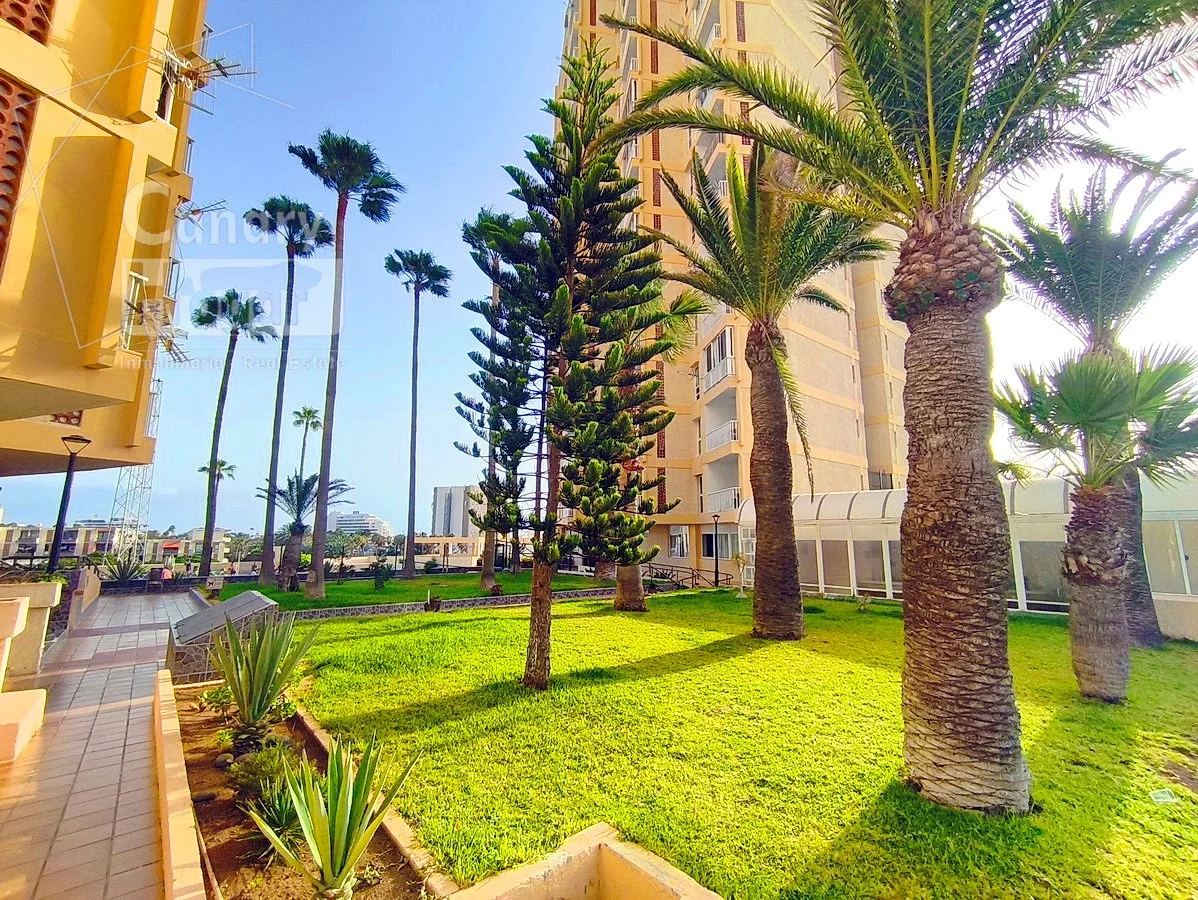 Renovated one-bedroom flat in Las Americas
