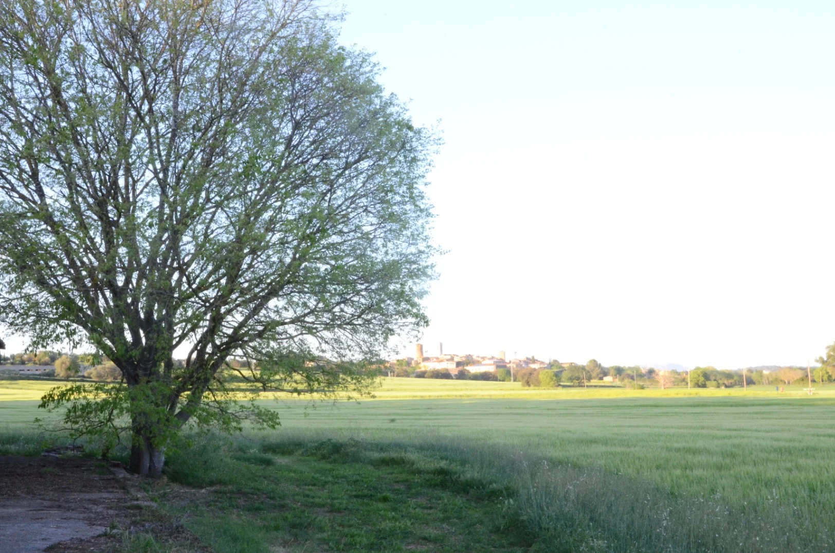 Restoration masia with extensive land