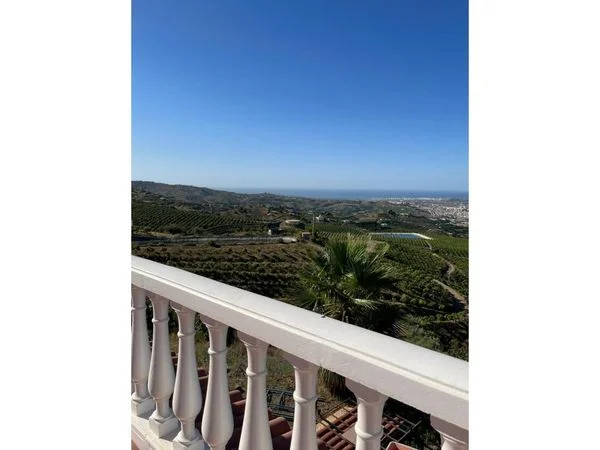 Finca de mangos productiva cerca de Vélez-Málaga