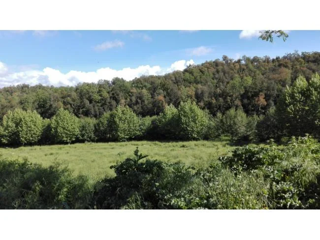 Finca boscosa de 330 hectáreas con masía en ruinas