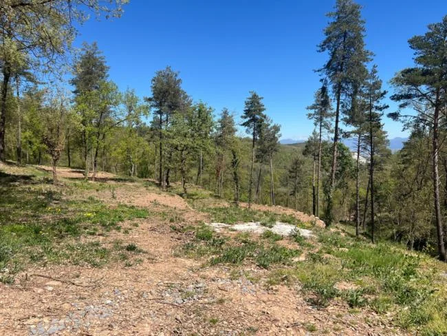 Parcela urbana en Muntanyola, 4.239 m²