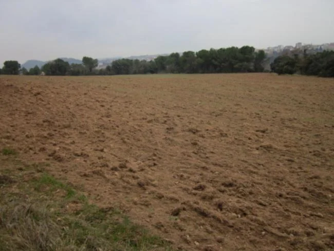 Terreno rústico llano cerca de Navas