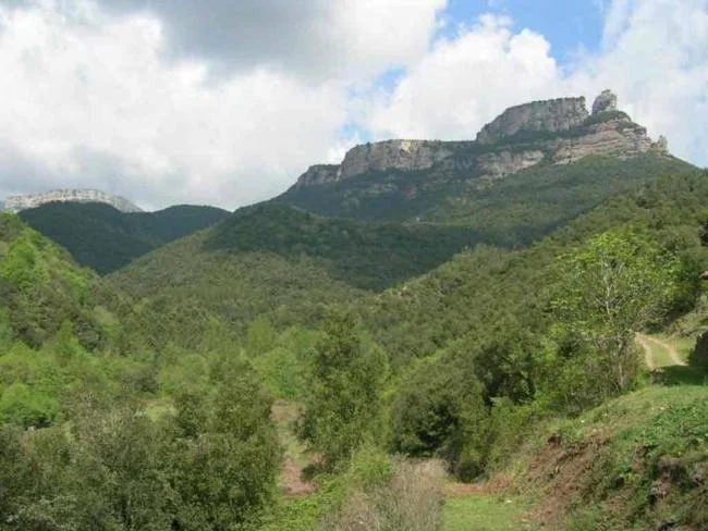 Terreno boscoso de 135 hectáreas con río