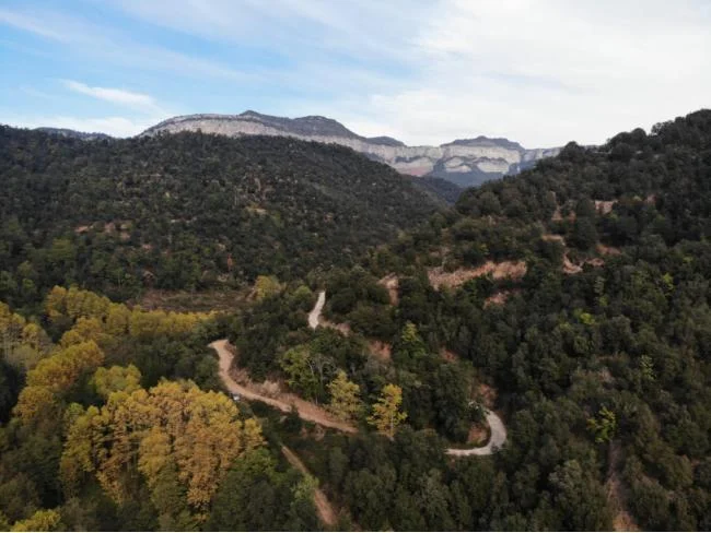 Bosque de 120 hectáreas en Vilanova de Sau