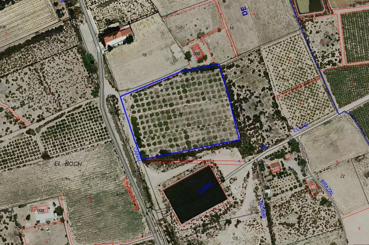 Large BOCH plot near Crevillent