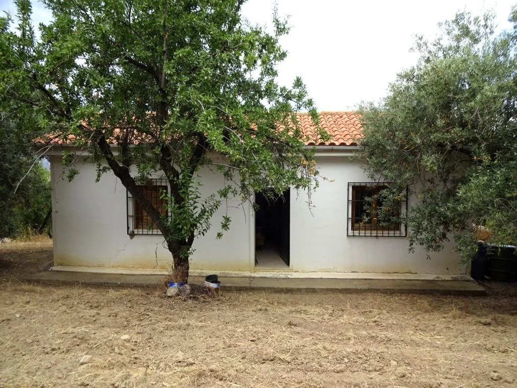 Agricultural house on mountain acreage