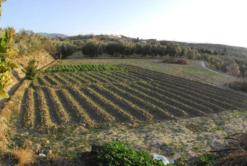 Gran parcela rústica cerca de Granada