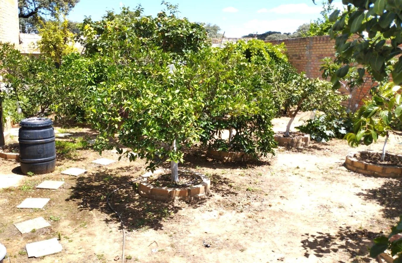 Solar edificable en Gerena con jardín