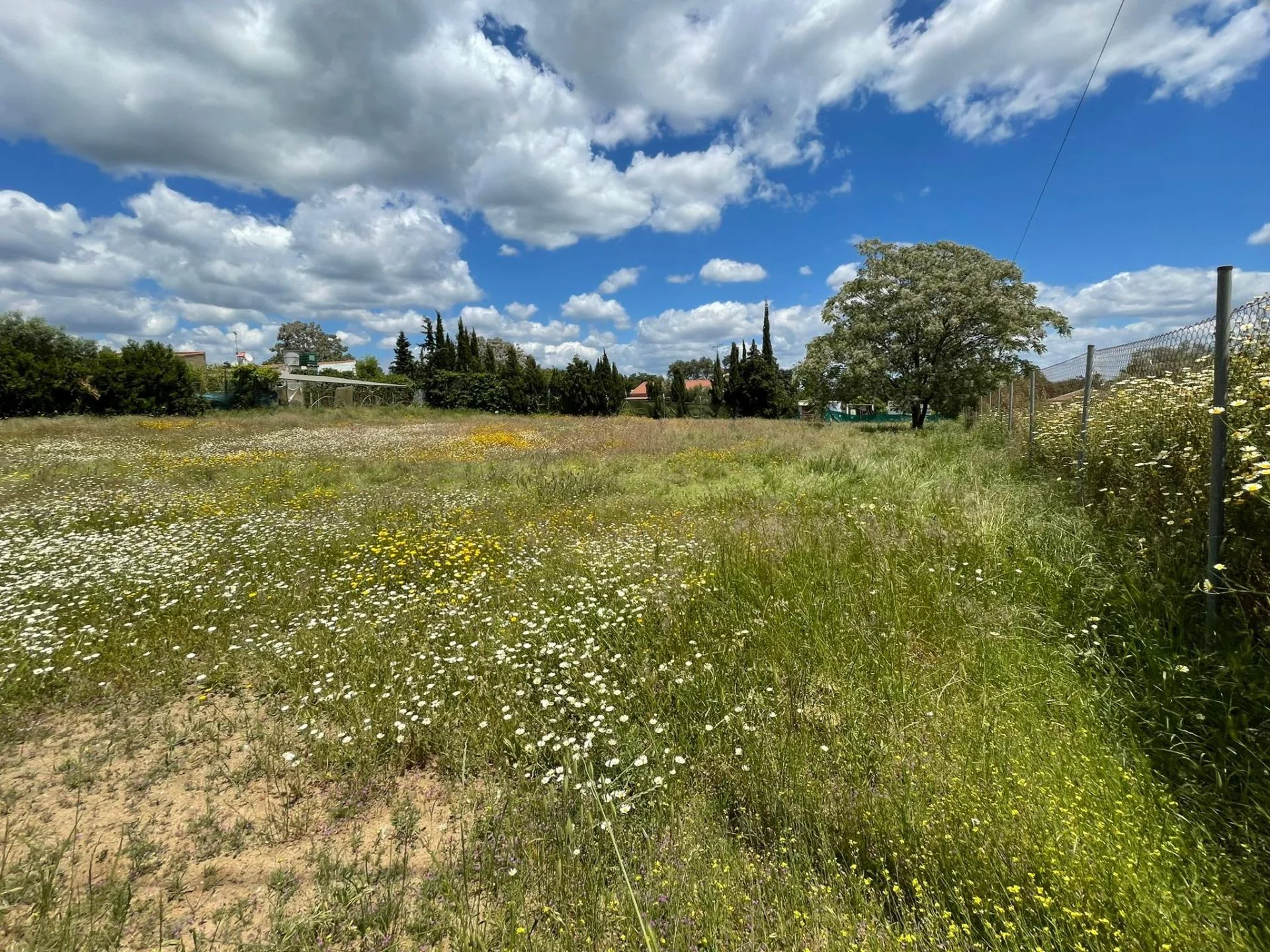Parcela urbanizada de 2.000 m²