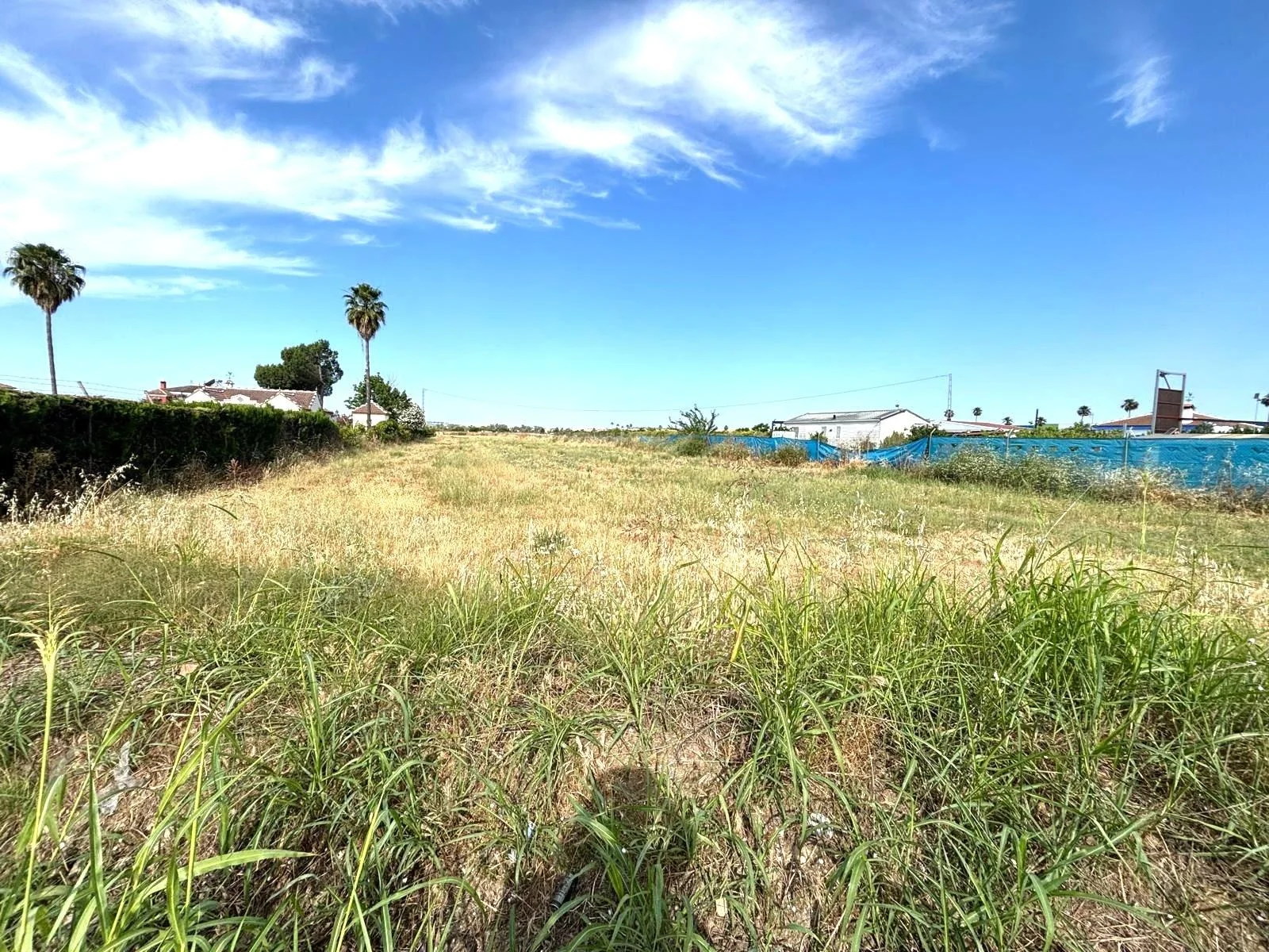 Large Guillena plot with clear views