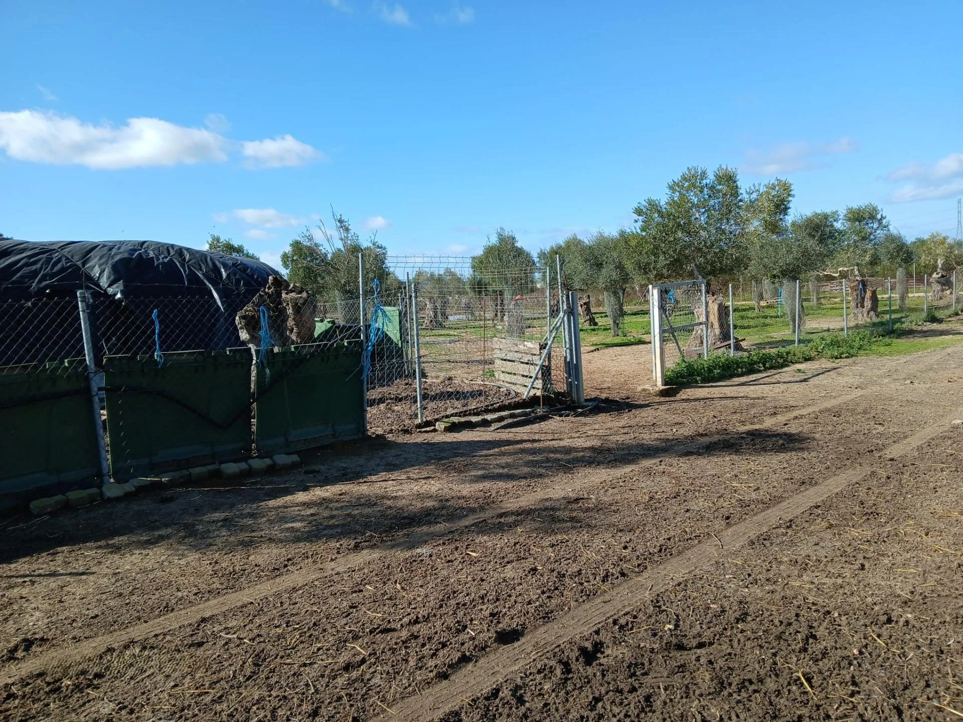 Large rural plot in Niebla, 8,300 m²