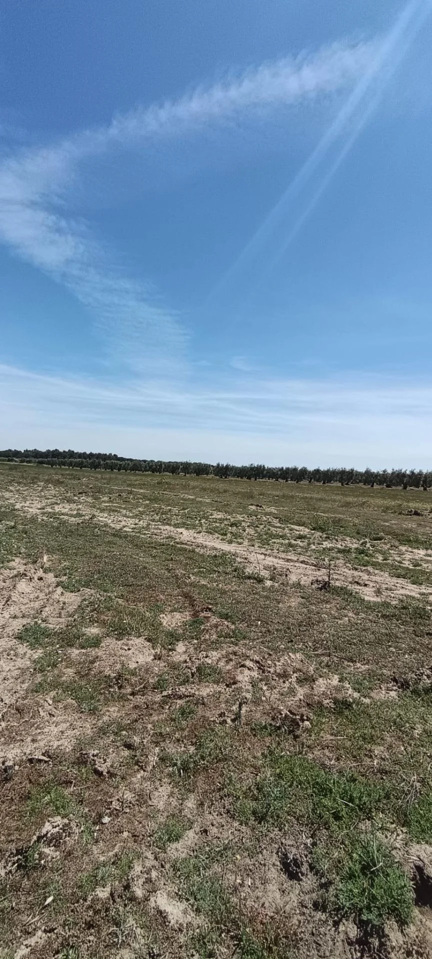 60,000 m² rural land in Villamanrique