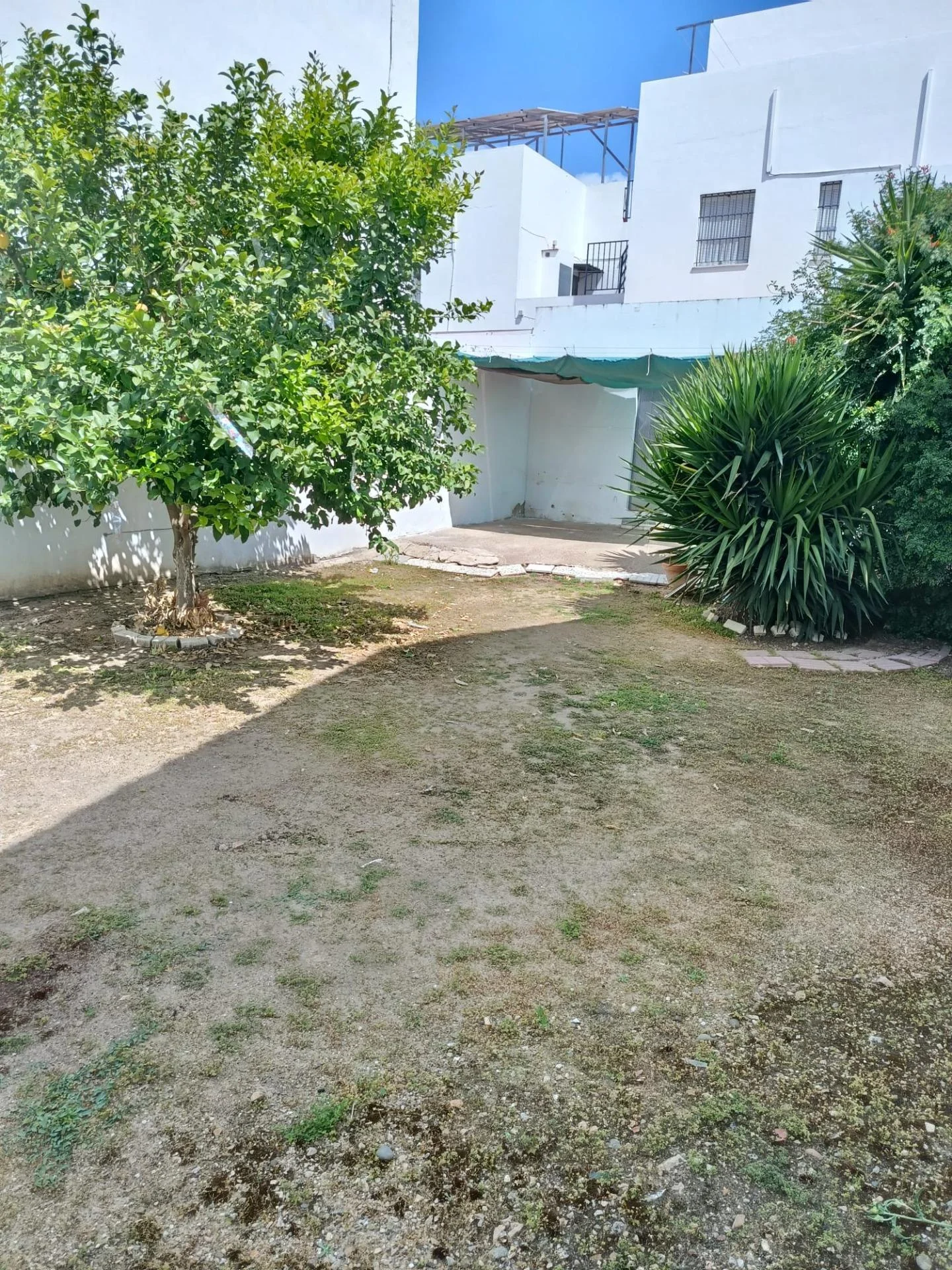 Urban plot in Alcalá del Río