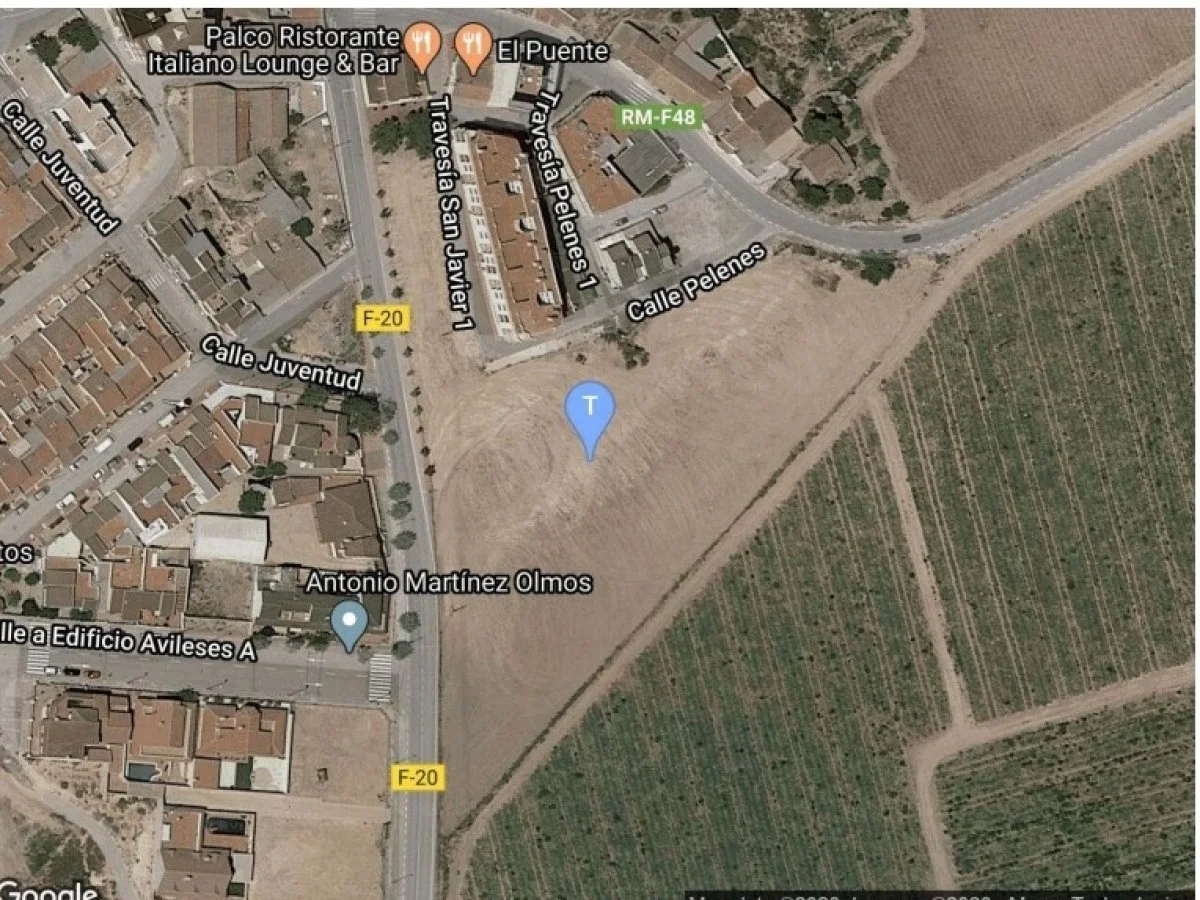 Large Avileses plot, 9,250 m²