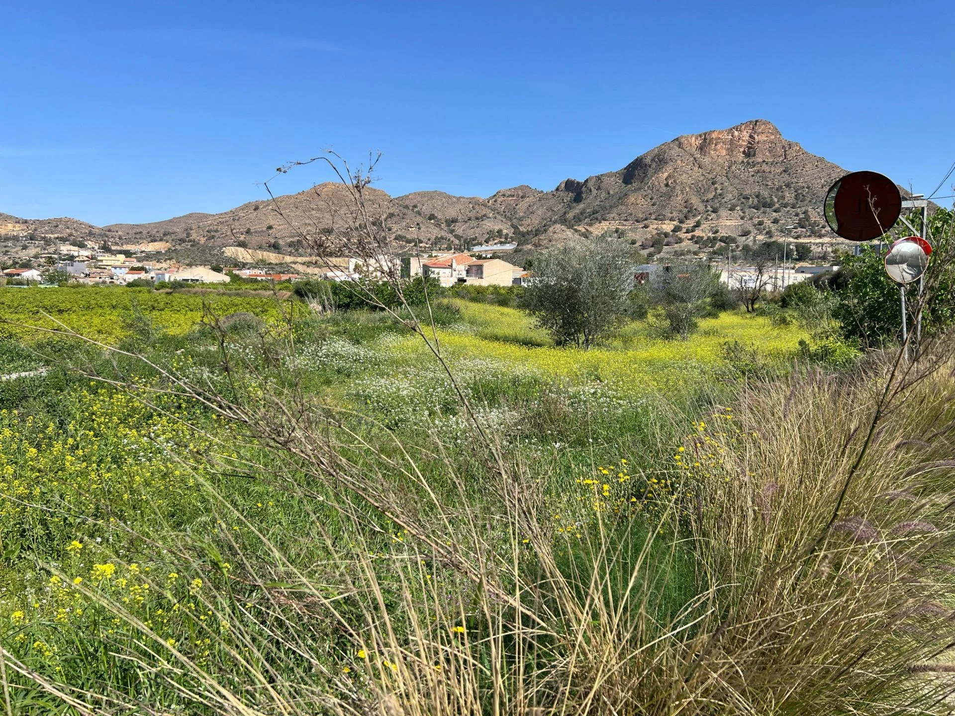 Parcela rústica en Cobatillas, 3.740 m²