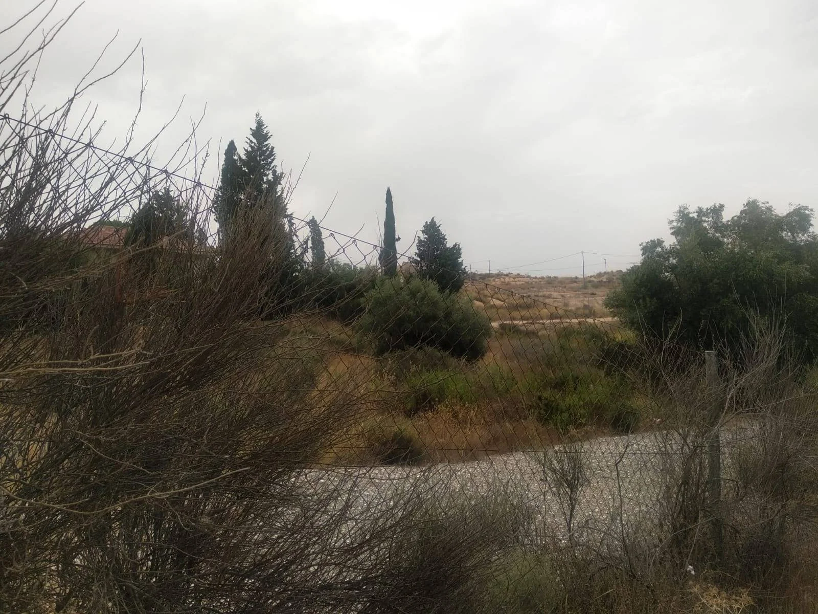 Rural plot in Campotéjar, 5,060 m²