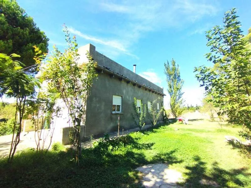 Finca rústica con cultivo productivo