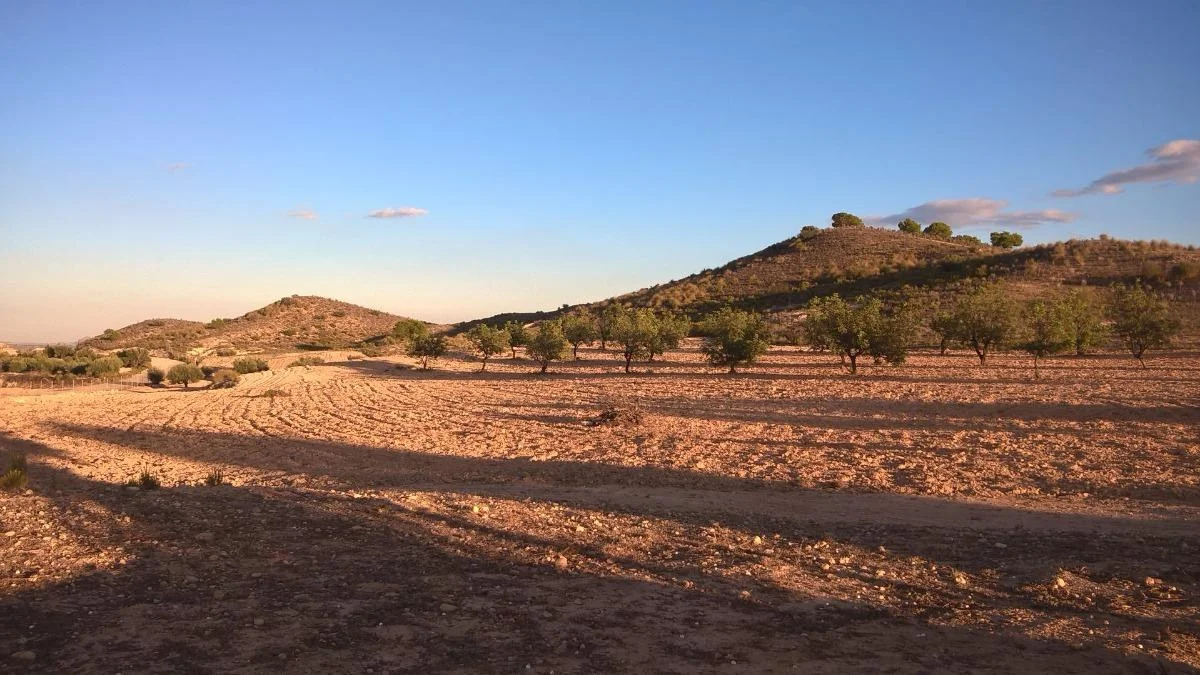 Large rural plot near Murcia