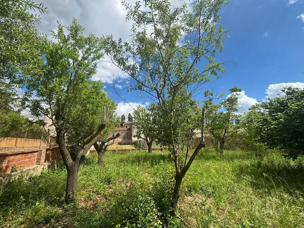 Buildable 800 m² plot near Ter
