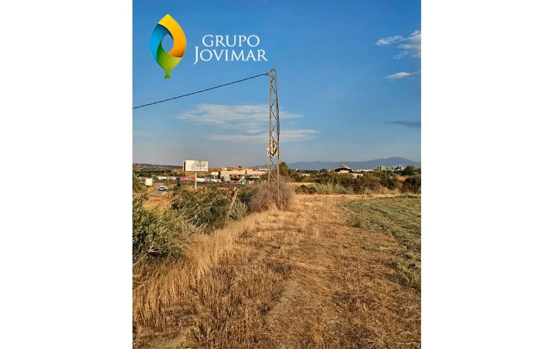 Terreno rústico de regadío con olivar