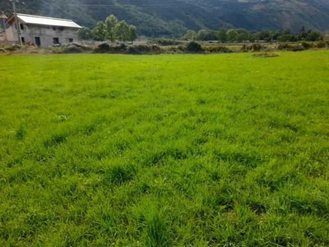 Parcela edificable de 8.590 m² en Latour-de-Carol