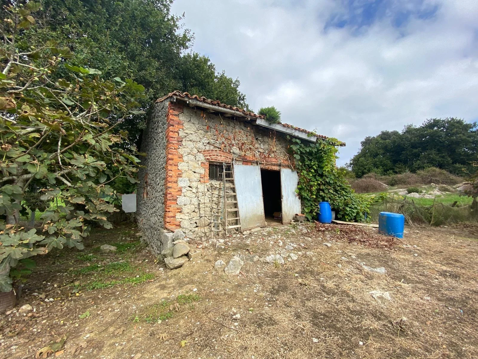 Casa de piedra con gran terreno