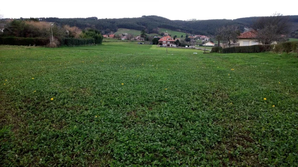 Parcela urbana en Güemes, 3.161 m²