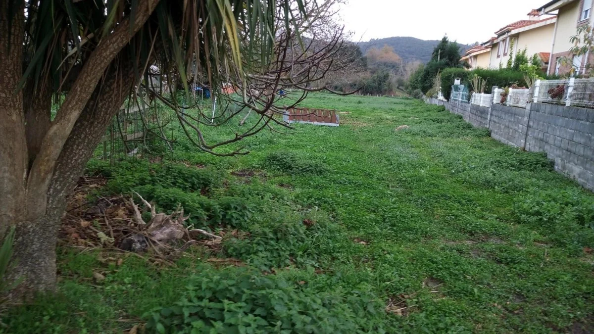 Parcela urbana en Castillo, 3.197 m²