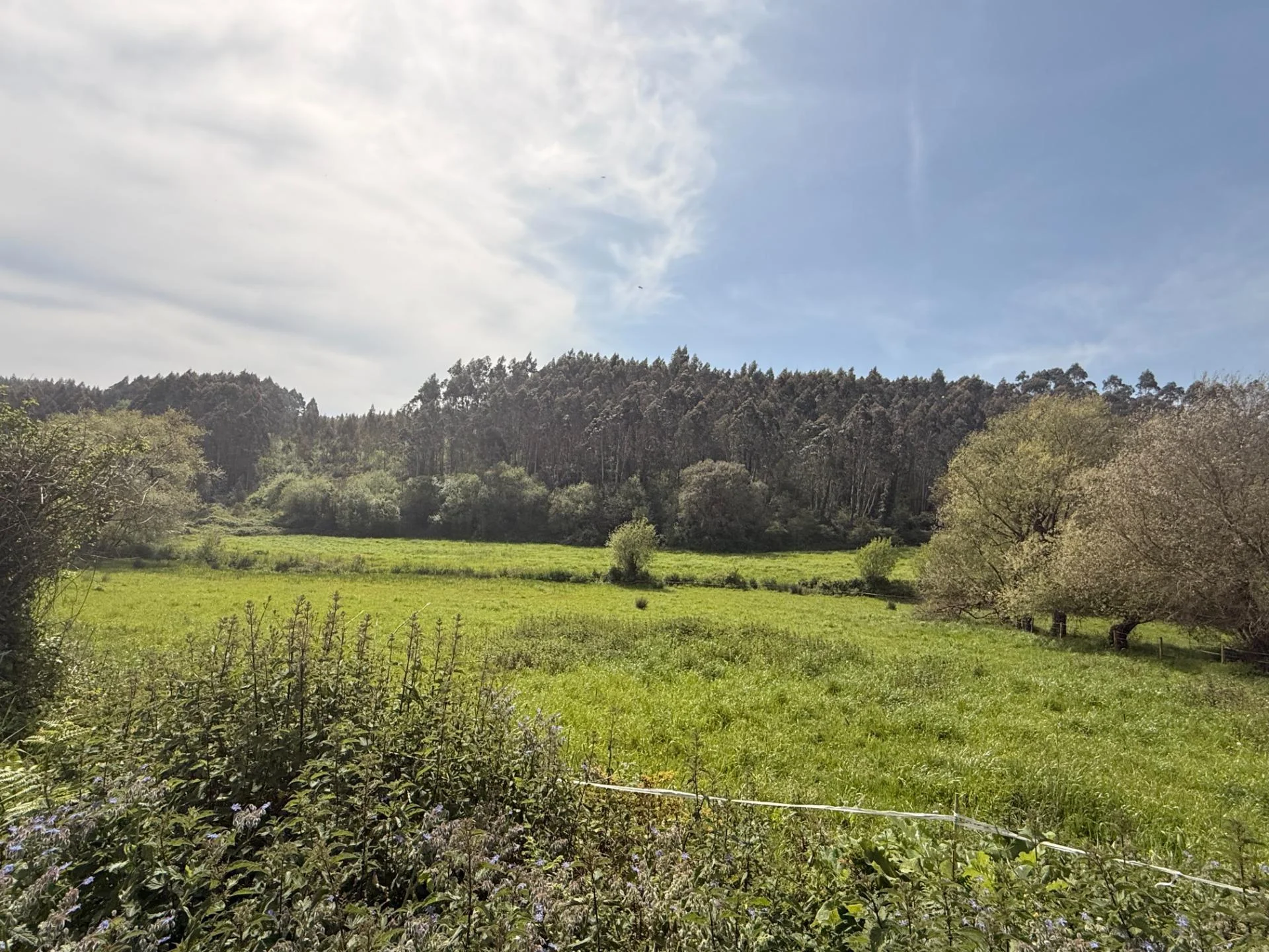 Parcela urbana en Güemes, 2.975 m²
